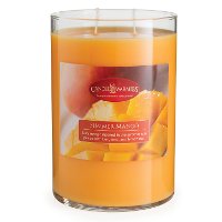 Summer Mango 22oz Candle - Candle Warmers