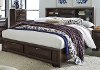 Clearance Brown Contemporary Queen Storage Bed - Newland