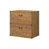Kathy Ireland Golden Pine 2- Drawer Lateral File - Ironworks -2
