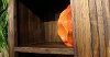 Orange Ceramic Vase-2