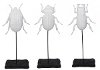 Assorted White Resin Beetles on Stands