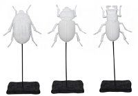 Assorted White Resin Beetles on Stands