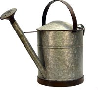 Metal Watering Can