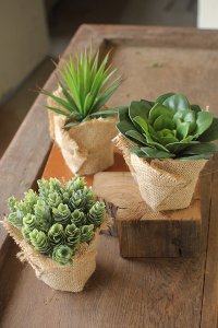 Assorted Artificial Succulent Arrangement in a Burlap Pot