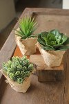 Clearance Assorted Artificial Succulent Arrangement in a Burlap Pot