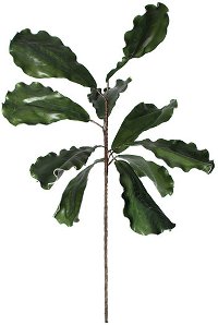 Green Fig Leaf Stem for Arrangement