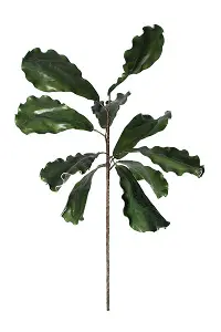Green Fig Leaf Stem for Arrangement