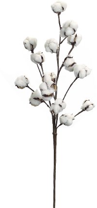 Cotton Branch Stem Spray for Arrangement