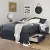 10366 Blueberry Full Size Mates Storage Bed - Ulysses