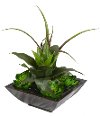 Succulent Garden in a Zinc Planter Arrangement