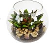 Star Etchie Arrangement with Pebbles in Glass Bubble Bowl