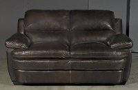 Casual Contemporary Dark Brown Leather Loveseat - Plano