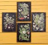 Assorted Botanical Wall Art on a Black Background