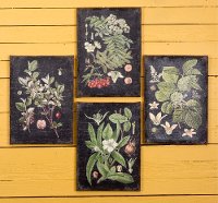 Assorted Botanical Wall Art on a Black Background