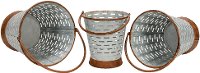 11 Inch Rustic Brown and Silvery-White Tin Pail with Handle