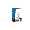 TP-LB110 TP-Link Smart LED Light Bulb-2