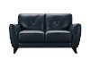 Modern Blue Leather Loveseat - Colours-2