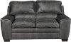 Casual Contemporary Graphite Gray Loveseat - Caruso-1