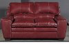 Casual Contemporary Cinnamon Red Loveseat - Caruso-2