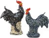 Assorted Proud Rooster