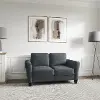Dark Gray Contemporary Love Seat - Milani
