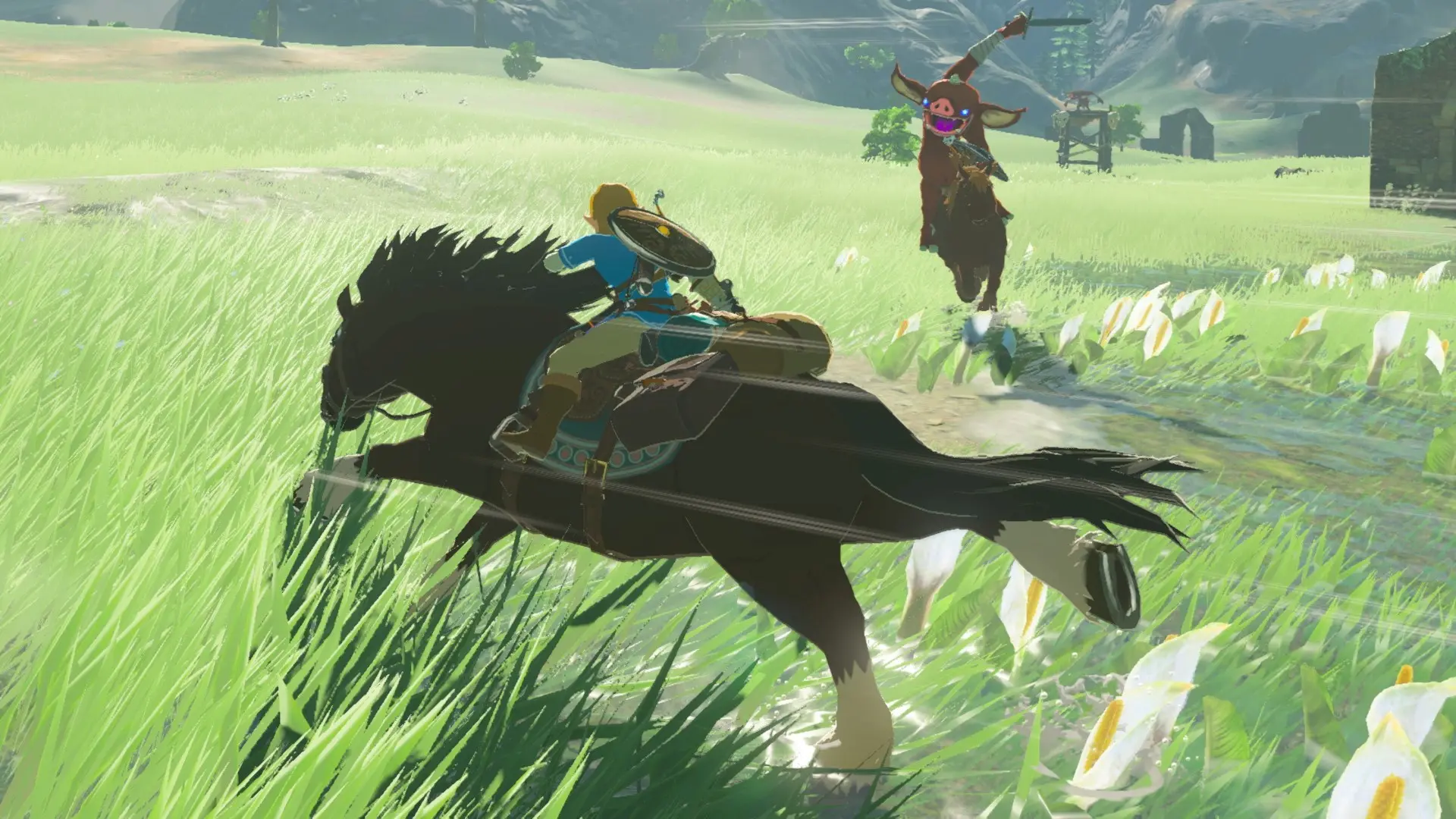 SWI HACPAAAAA The Legend of Zelda: Breath of the Wild - Nintendo Switch-3