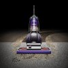 UP20 Dyson Ball Animal 2-3