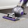 UP20 Dyson Ball Animal 2-5