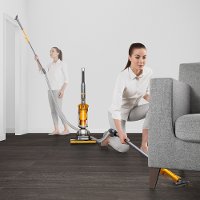 UP19 Dyson Ball Multi Floor 2-6