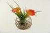 Orange Calla Lilies Arrangement in Bowl with Sea Grass
