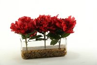Burgundy Peonies Arrangement In a Rectangular Glass Vase