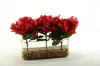Clearance Burgundy Peonies Arrangement In a Rectangular Glass Vase