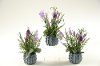 Assorted Lavender Ceramic Planter Arrangement