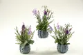 Assorted Lavender Ceramic Planter Arrangement
