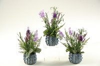157021-S/3-IND Assorted Lavender Ceramic Planter Arrangement
