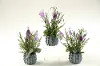 Clearance Assorted Lavender Ceramic Planter Arrangement