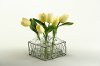 Clearance Yellow Tulips in Glass Jugs with Metal Holder Arrangement