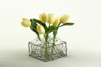 Yellow Tulips in Glass Jugs with Metal Holder Arrangement