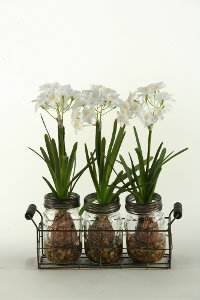 165037 White Bulbs in Glass Jars in a Metal Holder Arrangement