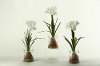 Clearance Assorted White Bulb Arrangement In a Glass Jar