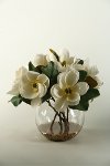 161046 Cream Magnolias Arrangement In a Clear Glass Bubble Bowl
