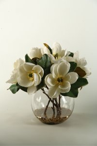 161046 Cream Magnolias Arrangement In a Clear Glass Bubble Bowl