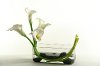 154146 Calla Lilies Arrangement In a Rectangle Glass Vase