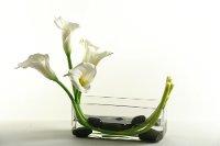 154146 Calla Lilies Arrangement In a Rectangle Glass Vase