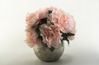 Peonies Arrangement in Silver Leaf Ball Planter
