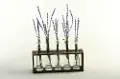 Lavender Spray Arrangement In Glass Vases On Wood Stand