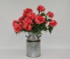 Coral Hydrangea Planted Arrangement