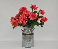 Coral Hydrangea Planted Arrangement