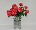 Faux Coral Hydrangea Planted Arrangement