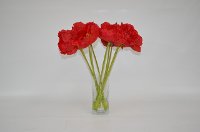 Red Poppies Arrangement In Clear Vase